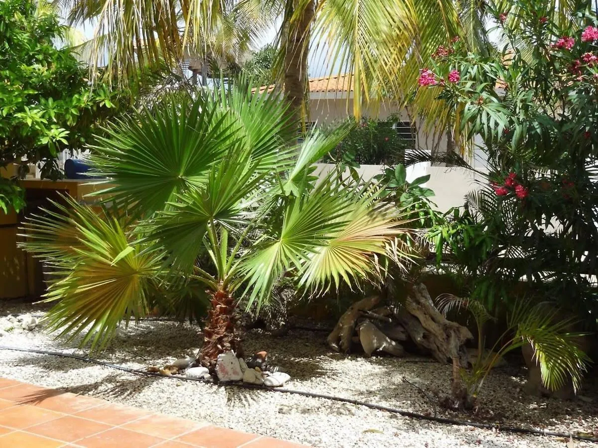 Semesterbostad 30 Kas Di Mi Sonjo Villa Kralendijk